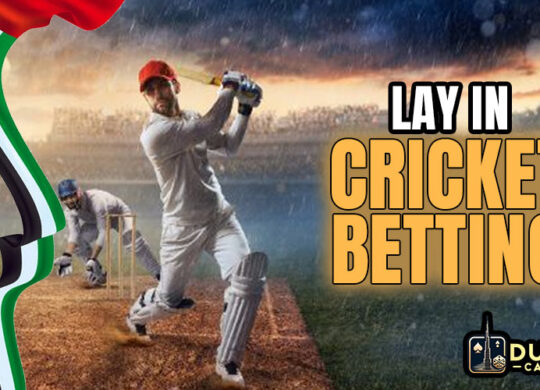 What is lay in cricket betting