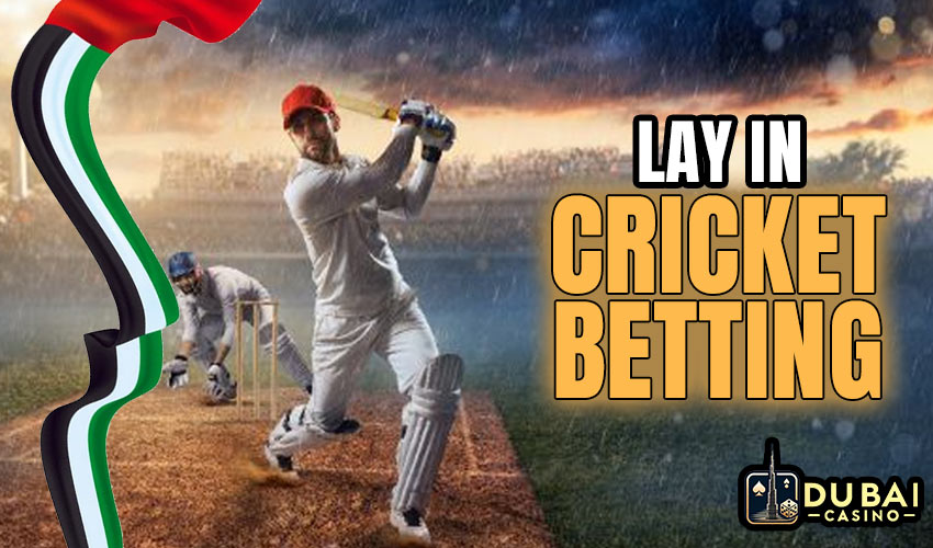 What is lay in cricket betting