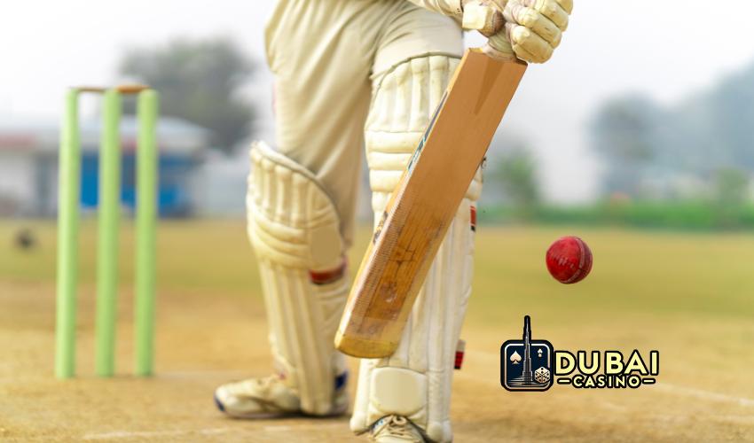 How to play cricket betting online