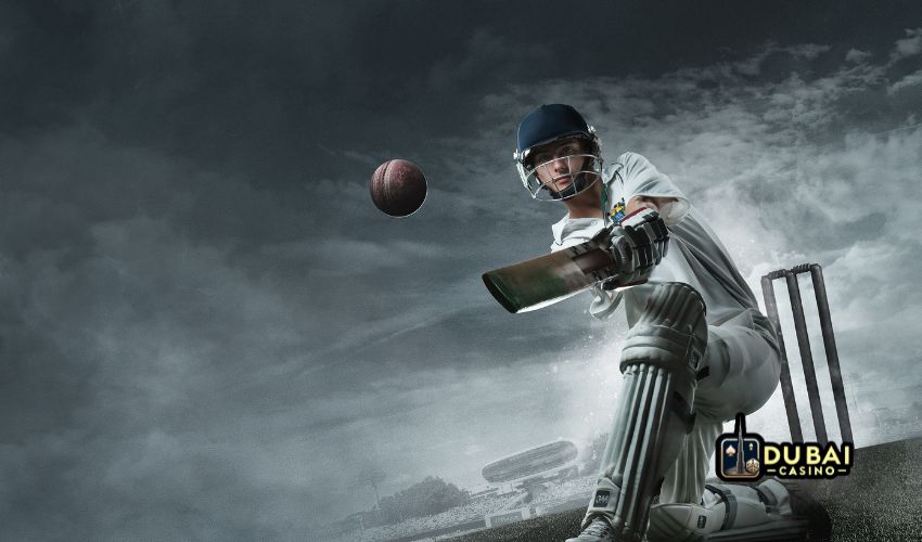 What is Bookmaker in Cricket Betting how to choose a reliable bookmaker