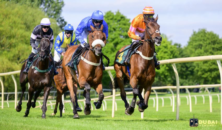 Pros and cons of a bet show in horse racing